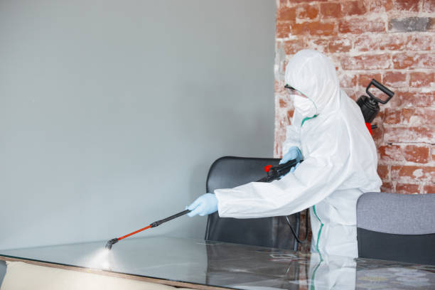 Why You Should Choose Our Mold Remediation Services in Piermont, NY