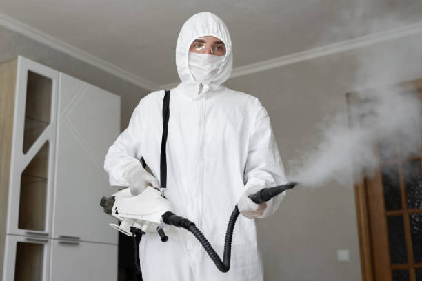 Best Mold Removal for HVAC Installations in Piermont, NY